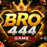 BRO444 Game