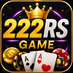 222RS Game