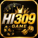 HI309 Game