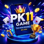 PK11 Game